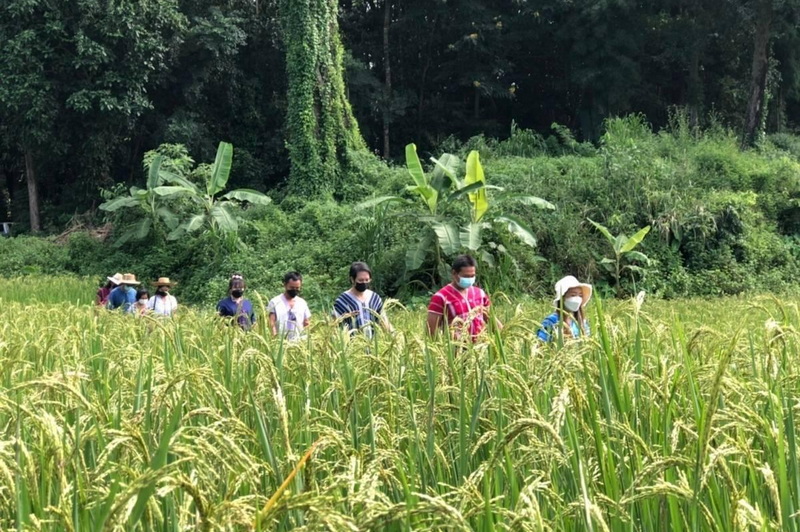 2 day private trek, 2 day private trek chiang mai, 2 day private trek mae wang, 1 day trek mae wang, day trek mae wang, chiang mai treks, chiang mai trekking, 1 day real trekking in chiang mai