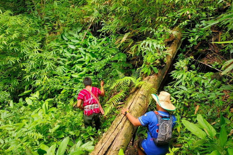 2 day private trek, 2 day private trek chiang mai, 2 day private trek mae wang, 1 day trek mae wang, day trek mae wang, chiang mai treks, chiang mai trekking, 1 day real trekking in chiang mai