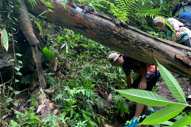 2 day private trek, 2 day private trek chiang mai, 2 day private trek mae wang, 1 day trek mae wang, day trek mae wang, chiang mai treks, chiang mai trekking, 1 day real trekking in chiang mai