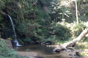 monk trail trekking, monk trail doi suthep, monk trail tekking at doi suthep - pui national park, monk trail trekking tour