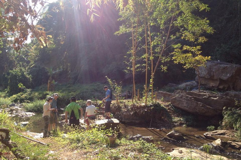 monk trail trekking, monk trail doi suthep, monk trail tekking at doi suthep - pui national park, monk trail trekking tour