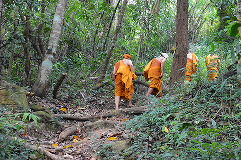 monk trail trekking, monk trail doi suthep, monk trail tekking at doi suthep - pui national park