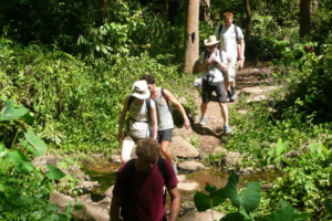 chiang mai trekking, 1 day chiang mai trekking, chiang mai trekking mae tang area, chiang mai trekking mae taeng area, chiang mai trek