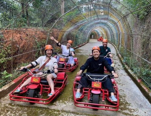 Pongyang Jungle Coaster Zipline is not to be missed