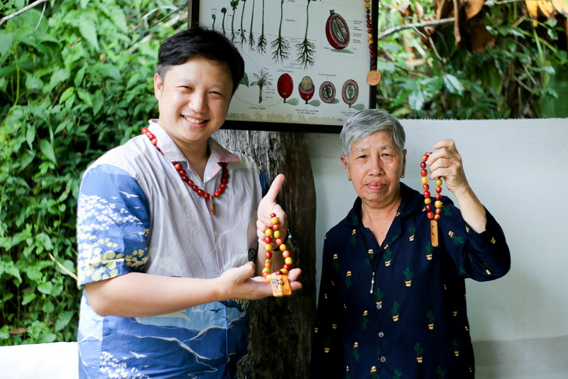 chiang mai coffee farm tour, coffee farm tour in chiang mai, chiang mai coffee tour, chiang mai coffee farm, tour coffee farm in chiang mai