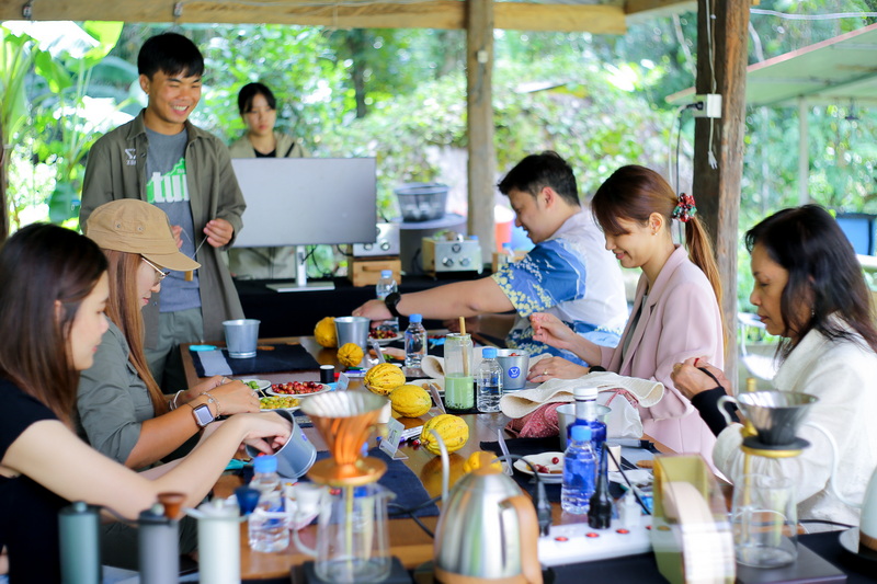 chiang mai coffee farm tour, coffee farm tour in chiang mai, chiang mai coffee tour, chiang mai coffee farm, tour coffee farm in chiang mai