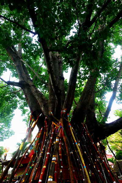 Wiang Kum Kam : Attraction place in Chiang Mai wiang kum kam, attraction in chiang mai, attraction place in chiang mai