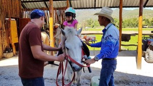 chiang mai horseback riding tours , chiang mai horse riding school, chiang mai horseback riding, chiang mai horse riding