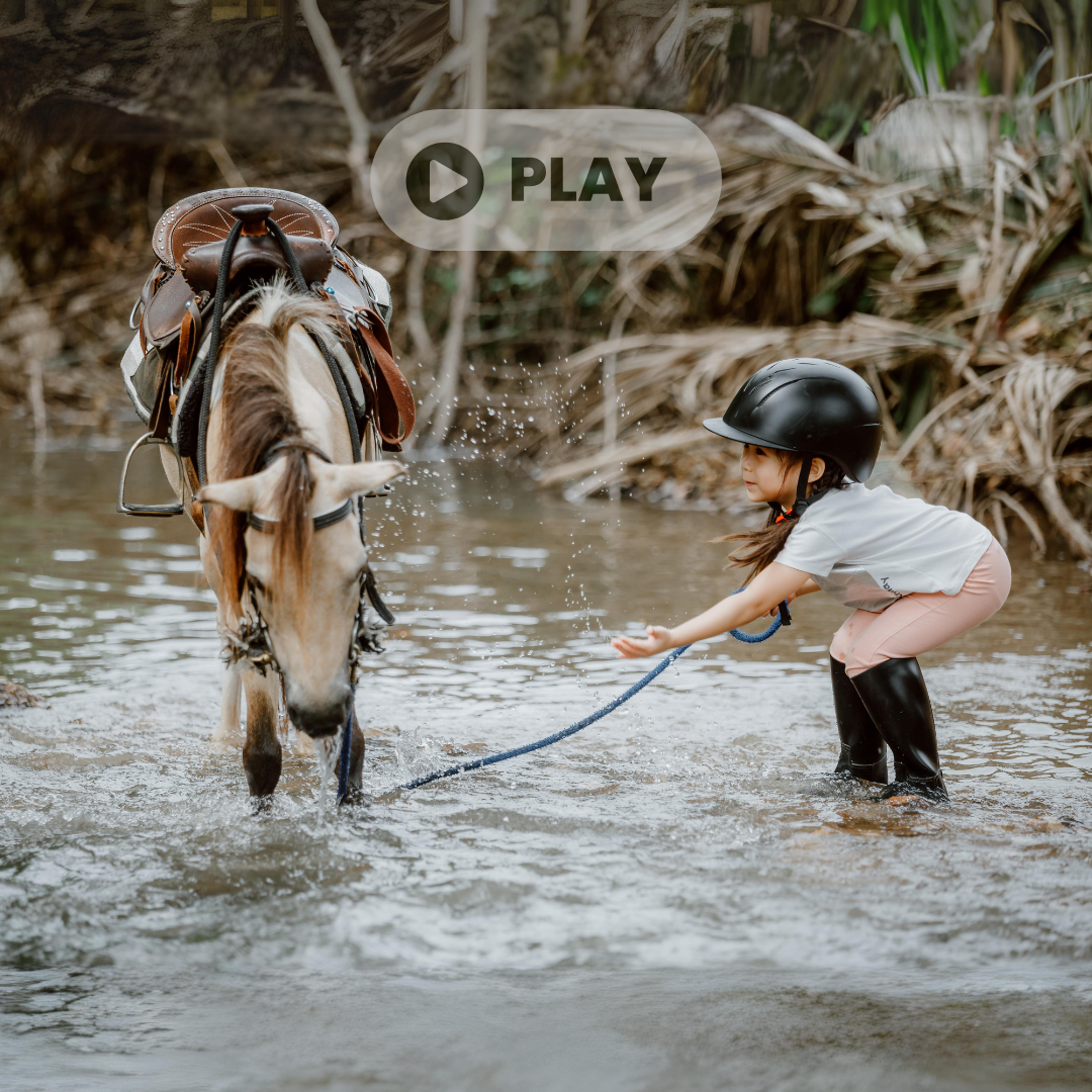 chiang mai horseback ride, chiang mai horseback riding