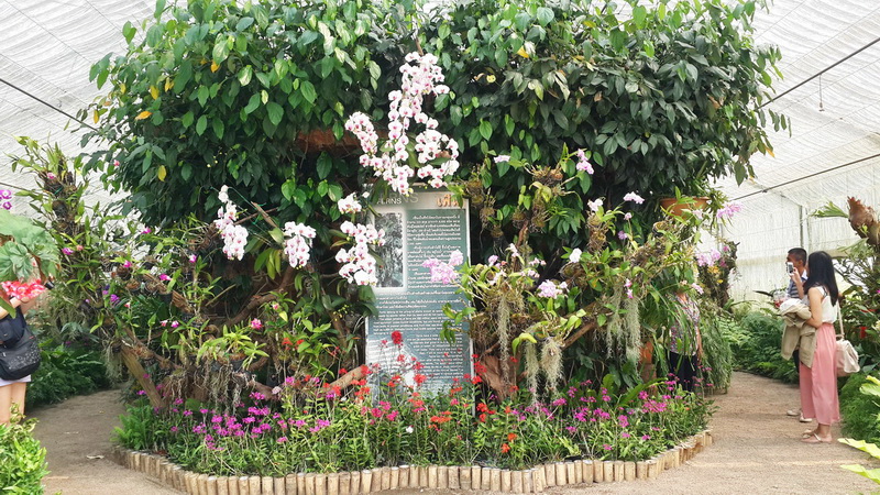 Queen Sirikit Botanic Garden The Heaven Of Blossom On Earth