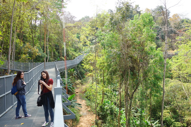 Queen Sirikit Botanic Garden The Heaven Of Blossom On Earth