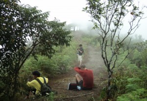 hiking at doi inthanon, hiking at doi inthanon national park, trekking at doi inthanon, trekking at doi inthanon national park