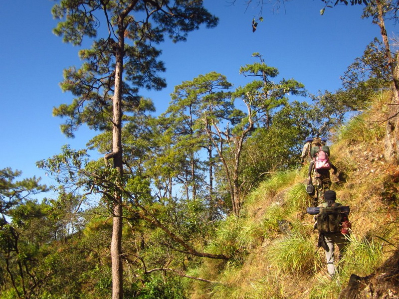 mae takhrai national park, mae takhrai