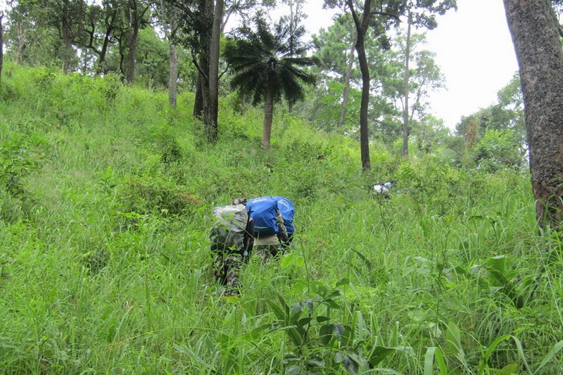 Doi Wiang Pha National Park