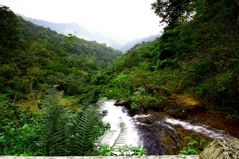 sri lanna national park