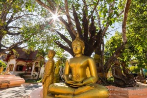 wat phra singh chiang rai, wat phra singh in chiang rai, phra singh temple chiang rai, phra singh temple in chiang rai