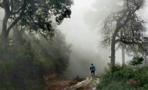 doi mae salong, mae salong, mae slong mountain, doi mae salong mountain, doi mae salong mount