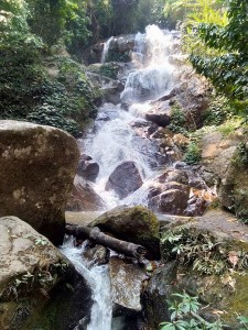 lam nam kok national park, lam nam kok, lam nam kok forest park, lam nam kok chiang rai