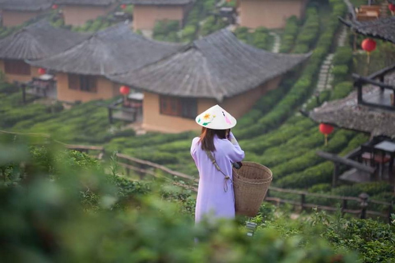 Baan Rak Thai ‘Spend some nights in the middle of mountain village.’