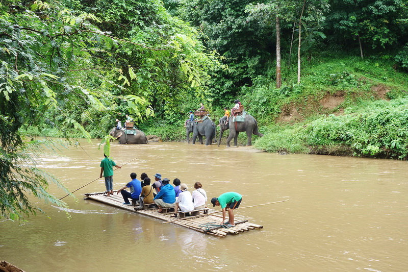 join in group tour elephant safari, elephant safari tour, chiang mai elephant safari tour, budget tour elephant safari, join in group elephant safari tour, day tour elephant safari