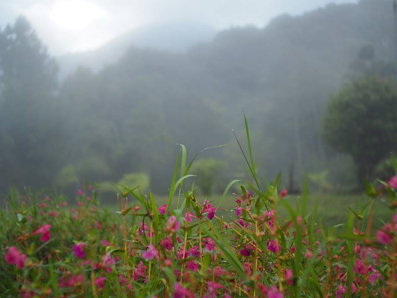 khun nan national park, khunnan national park, kun nan national park, kunnan national park, khun nan national park in nan, khunnan national park in nan