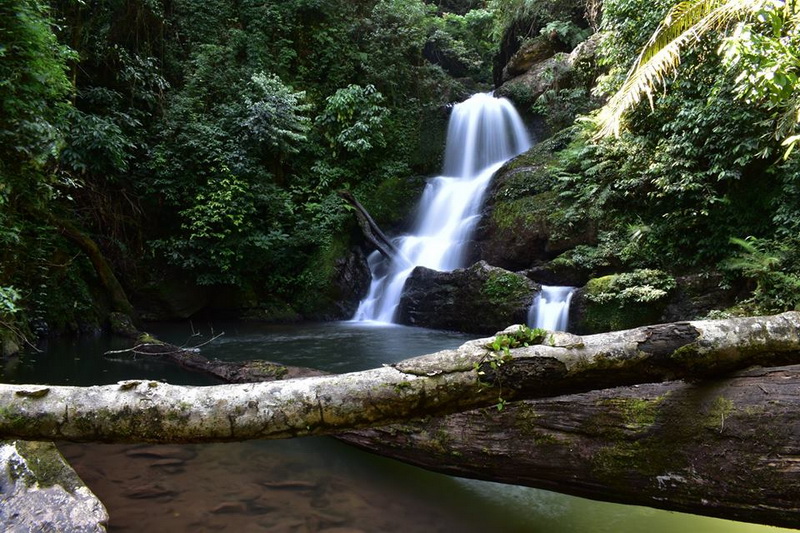 khun nan national park, khunnan national park, kun nan national park, kunnan national park, khun nan national park in nan, khunnan national park in nan