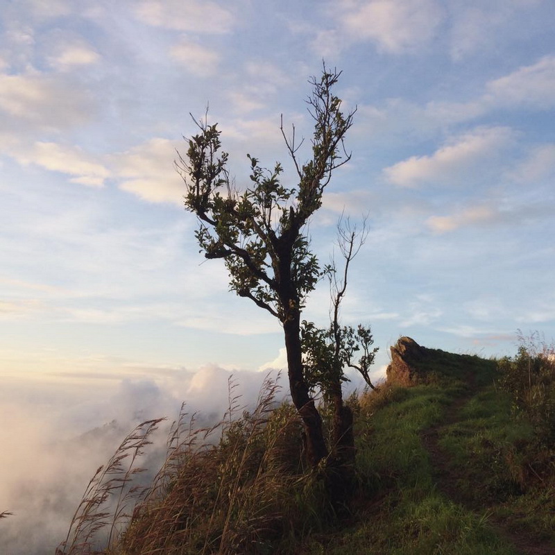 tham sokoen national park, tum sokoen national park, tham sokoen national park in nan, tum sokoen national park in nan