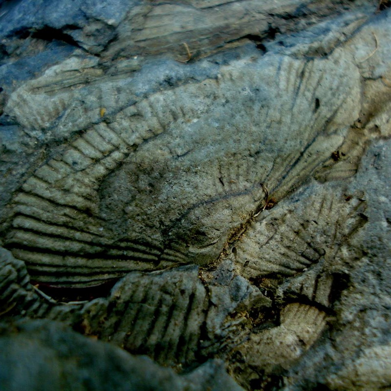 tham sokoen national park, tum sokoen national park, tham sokoen national park in nan, tum sokoen national park in nan