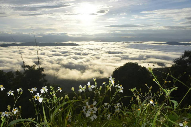 sri nan national park, si nan national park, national park in nan, nan national park