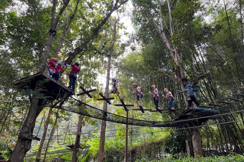 phoenix zipline adventure, phoenix zipline, phoenix zipline adventure park, phoenix adventure, phoenix zipline adventure chiang mai, phoenix zipline chiang mai