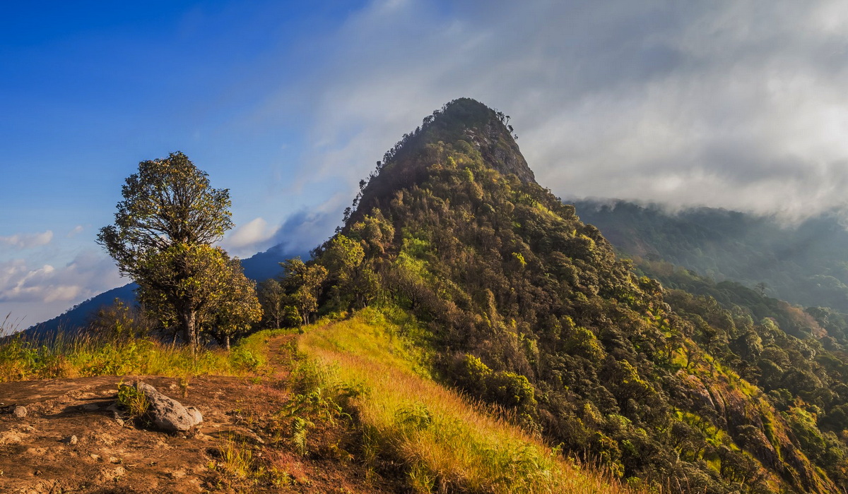 trekking doi pha ngam, hiking doi pha ngam, doi pha ngam, pha ngam cliff, doi phan gam cliff, two seasons cliff