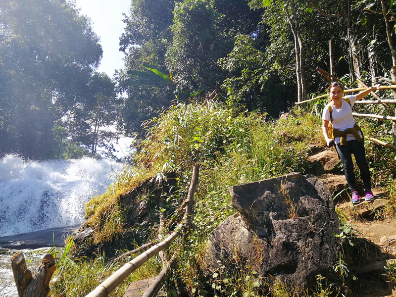 hiking pha dok siew nature trail, pha dok siew nature trail, trekking baan mae klang luang, baan mae klang luang, trekking pha dok siew, hiking pha dok siew