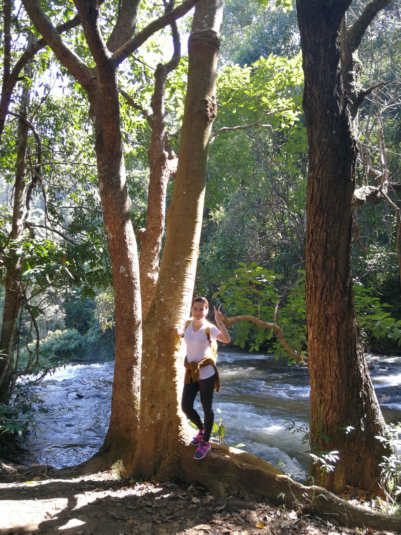 hiking pha dok siew nature trail, pha dok siew nature trail, trekking baan mae klang luang, baan mae klang luang, trekking pha dok siew, hiking pha dok siew