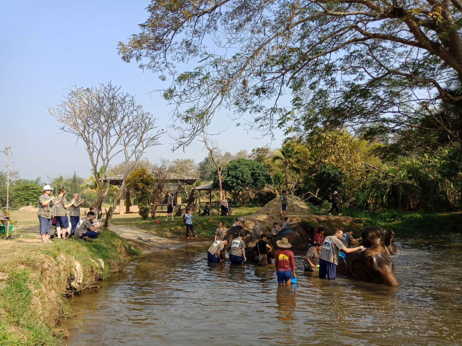 kanta elephant sanctuary, kanta elephant sanctuary chiang mai, kanta elephant camp, kanta elephant park, kanta elephant camp chiang mai