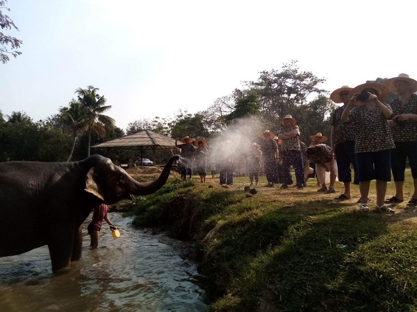 kanta elephant sanctuary, kanta elephant sanctuary chiang mai, kanta elephant camp, kanta elephant park, kanta elephant camp chiang mai