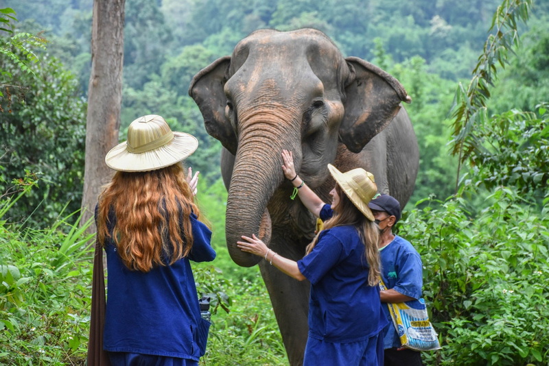 The Chang Chiang Mai