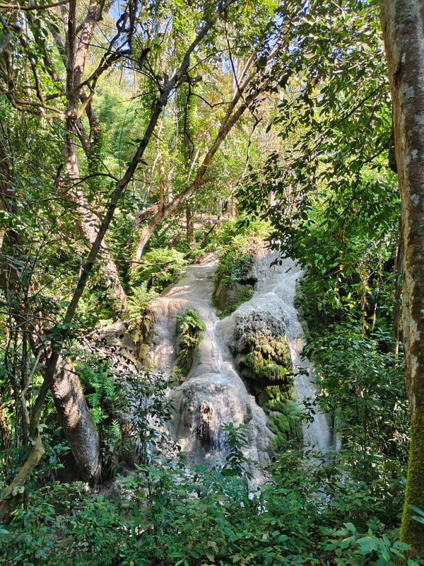 buatong waterfall, bua tong waterfall, buatong sticky waterfall, bua tong sticky waterfall, sticky waterfall, sticky waterfall chiang mai